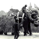 Image for article titled Photos of an elephant dressing up as the bantha from Star Wars